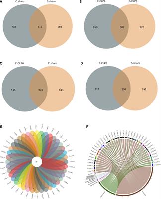 Changes in the microbiota in different intestinal segments of mice with sepsis